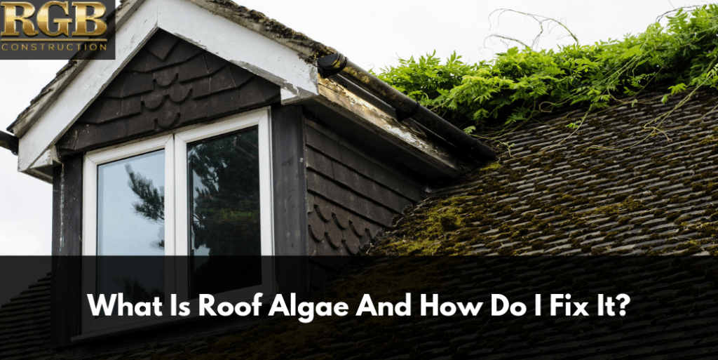 What Is Roof Algae And How Do I Fix It?