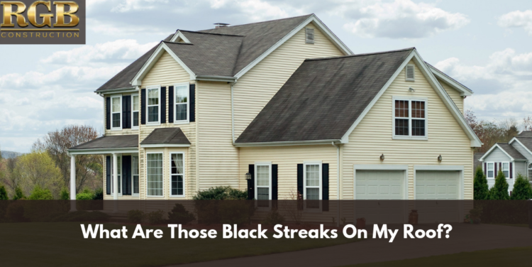 What Are Those Black Streaks On My Roof_ What Are Those Black Streaks On My Roof?
