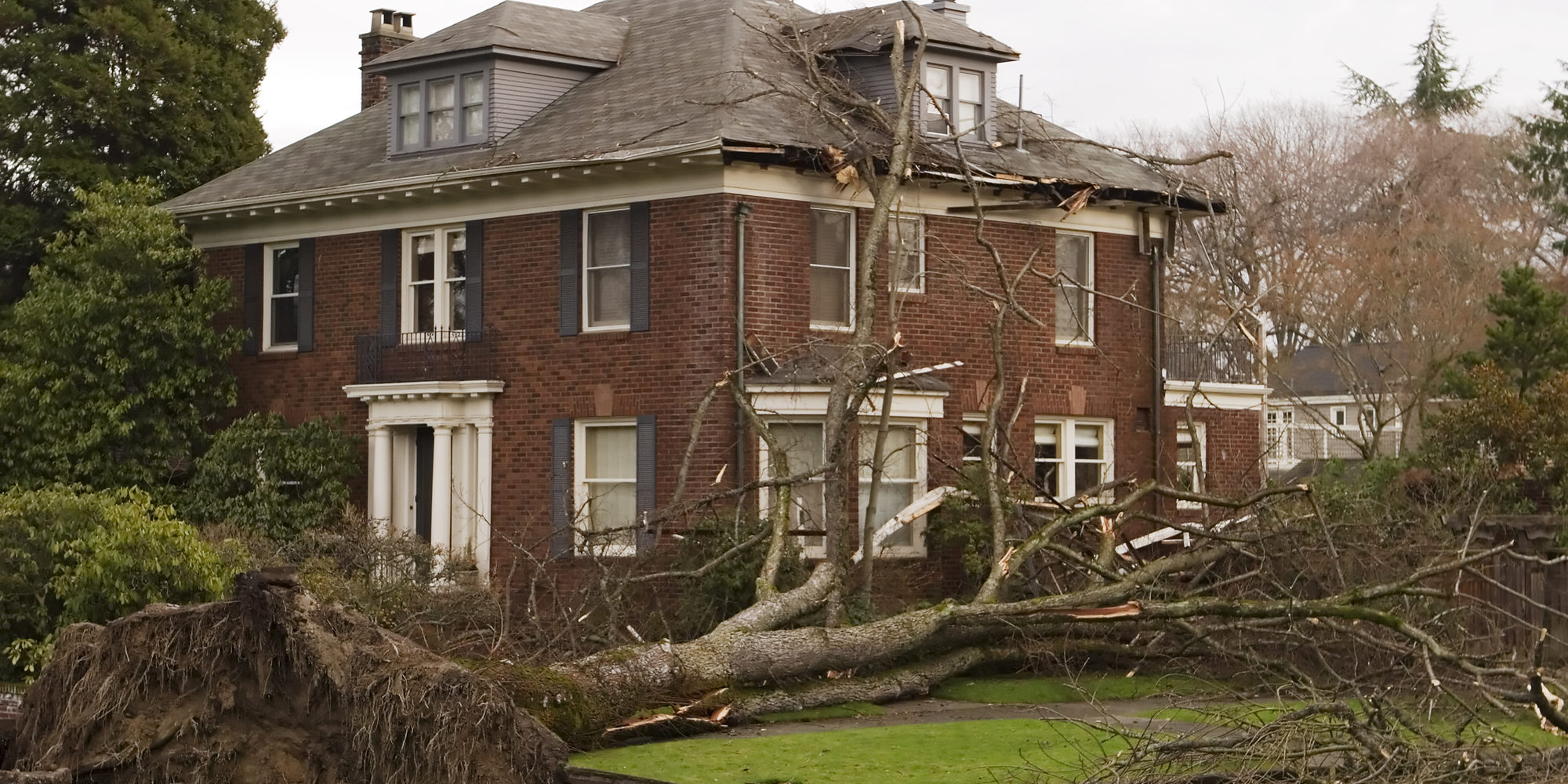 How To Handle Tree Damage To Your Roof | RGB Construction