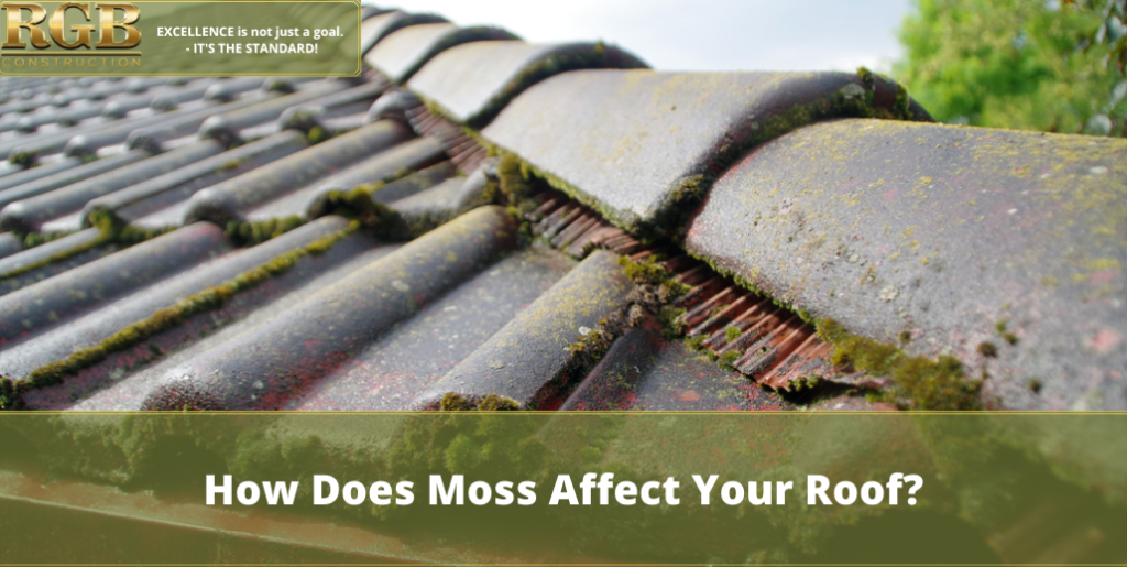 How Does Moss Affect Your Roof?