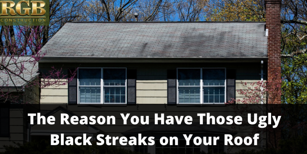 The Reason You Have Those Ugly Black Streaks on Your Roof