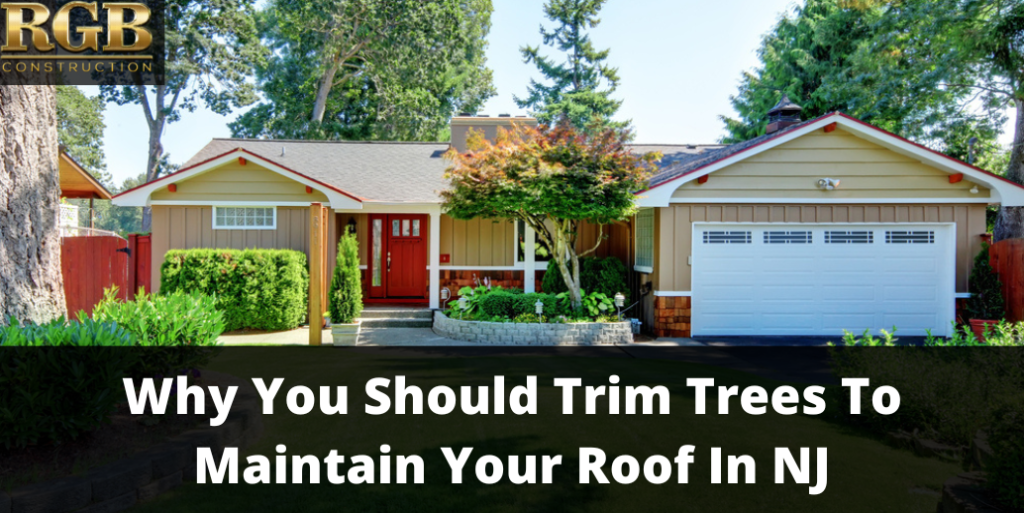 Why You Should Trim Trees To Maintain Your Roof In NJ
