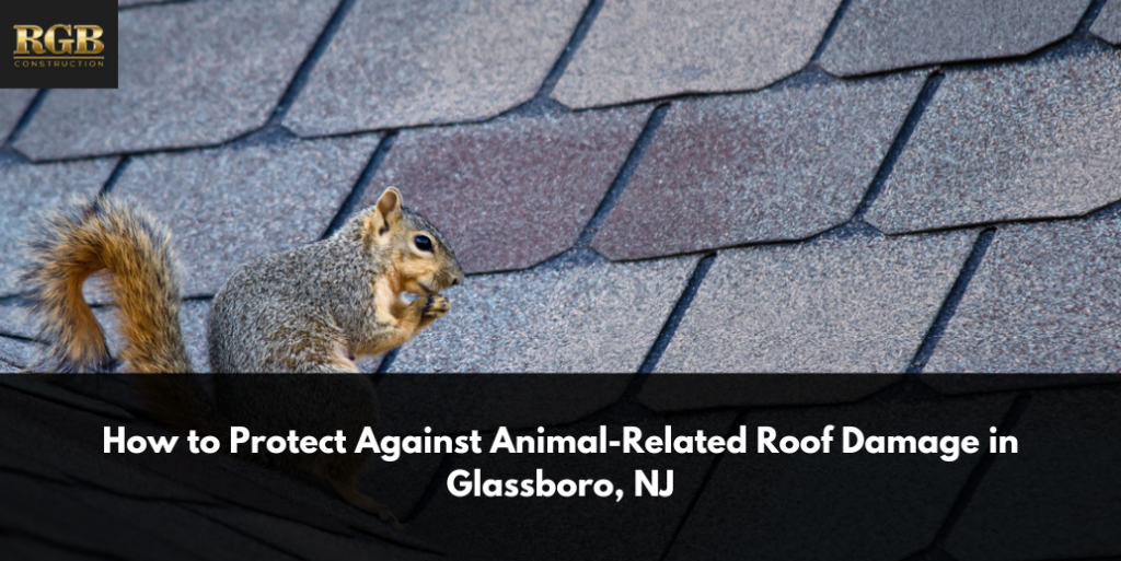 How to Protect Against Animal-Related Roof Damage in Glassboro, NJ