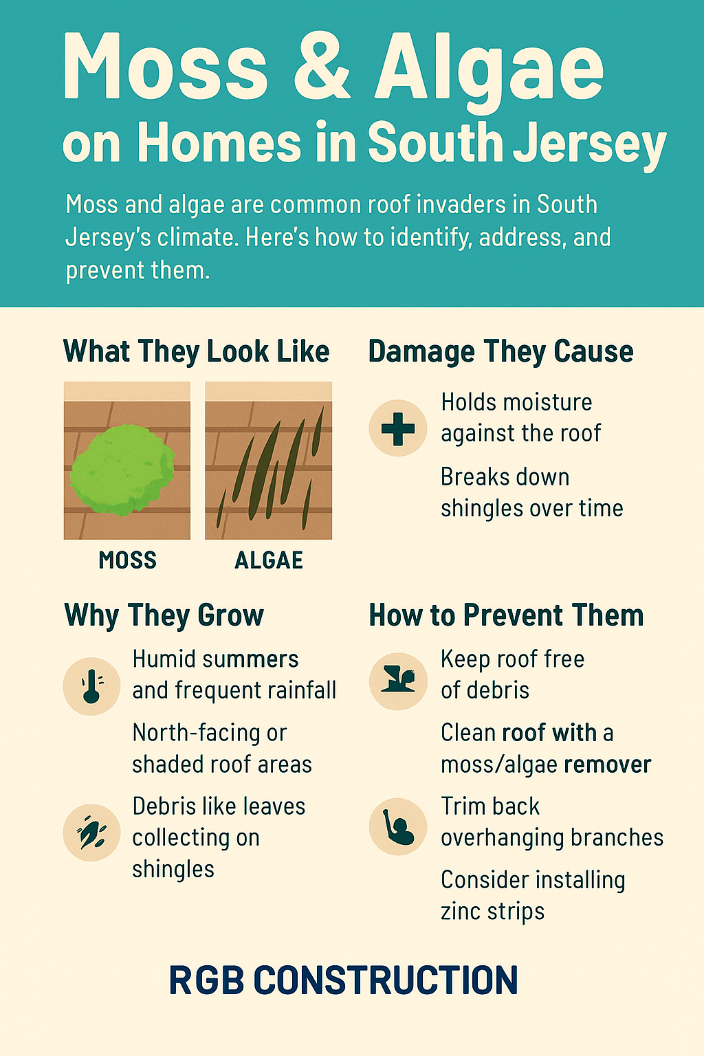 Can Moss And Algae Damage Your Roof? How To Prevent It Before It Spreads 1 An Infographic About Roof Moss And Algae Damage Including What They Look Like And How To Prevent Moss And Algae Growth.
