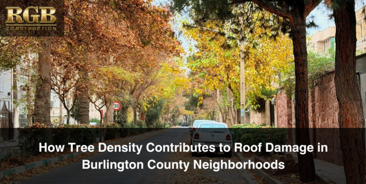 A street with high tree density, seen in autumn