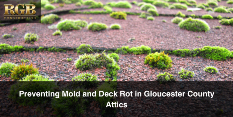 Moss growing on a roof is a sign of mold and deck rot